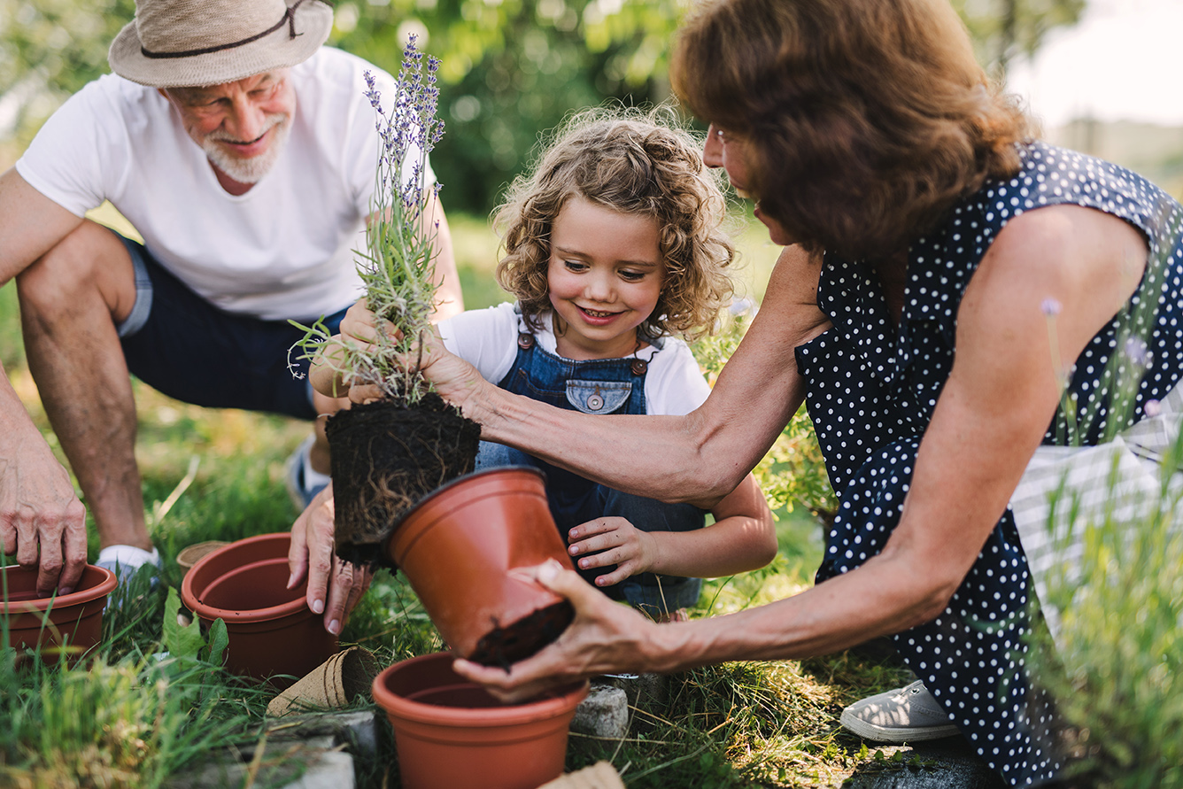 Legacy Wealth & Estate Planning | Barnett Financial Services